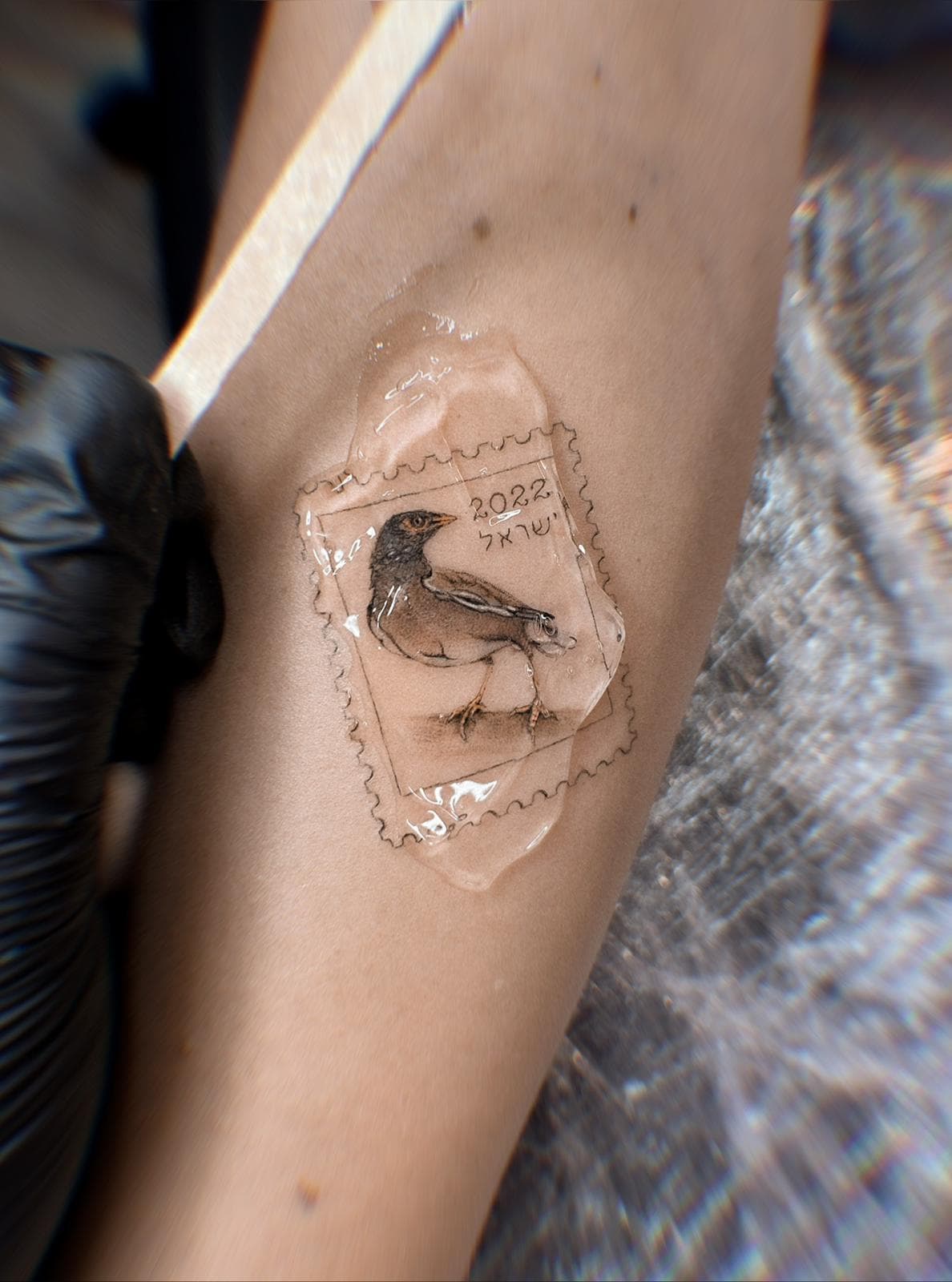 fine-line tattoo · piece 48 · Aleksandra, Kraska Tattoo, Rishon LeZion